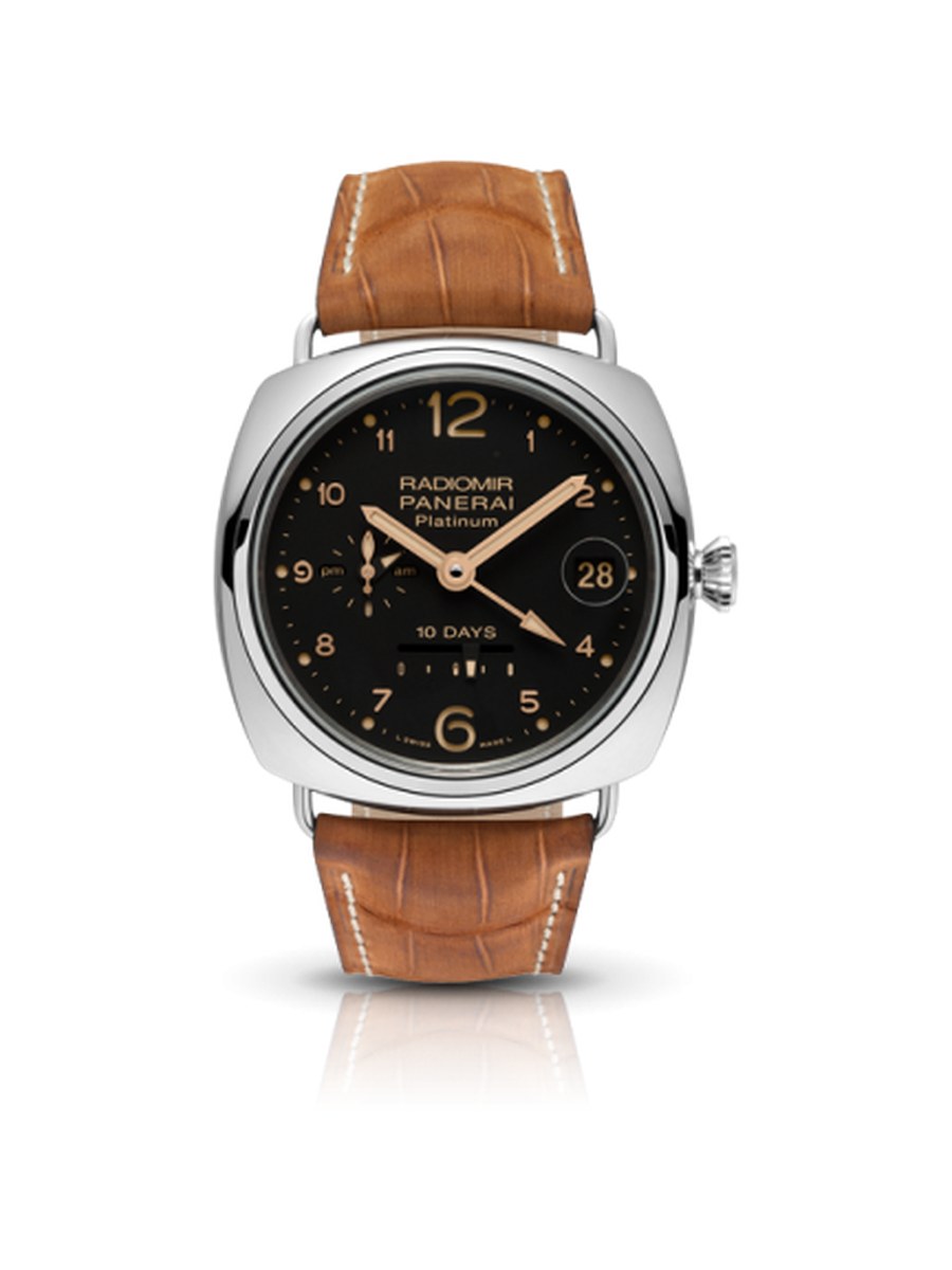 pam00495