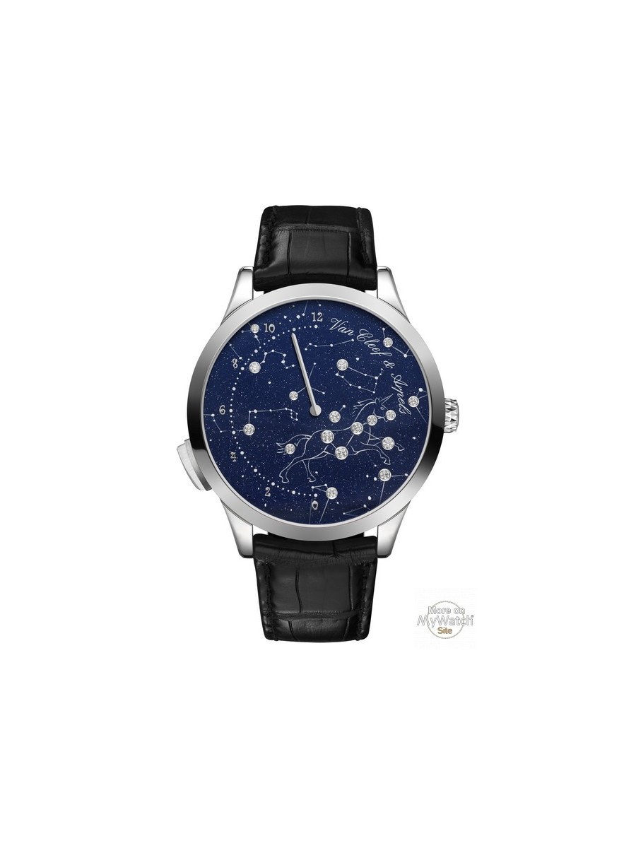 midnight-nuit-lumineuse